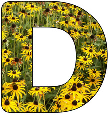 Deko-Buchstaben-Blumen_D.jpg